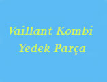Vaillant Kombi Parçaları
