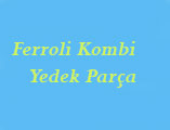 Ferroli Kombi Parçaları