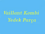Vaillant Kombi Yedek Parça