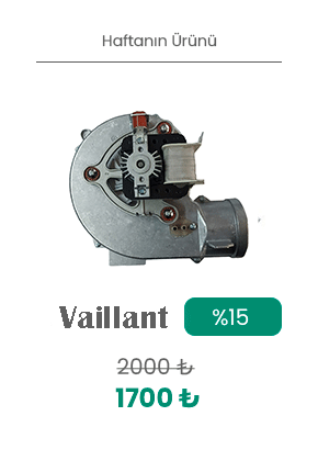 vaillant fan